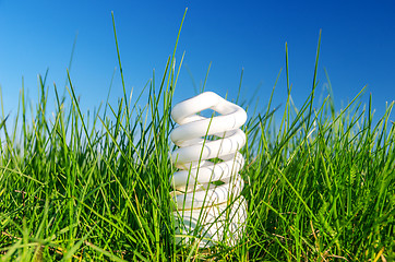 Image showing energy saving bulb in green grass against blue sky