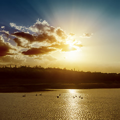 Image showing sunset over pond with dark water and swans