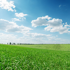 Image showing green grass field and clouds over it