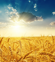 Image showing sunset over field with golden harvest