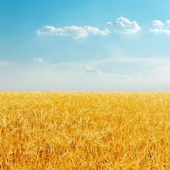 Image showing golden field with harvest and cloudy sky