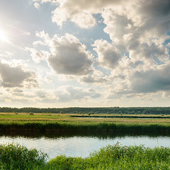 Image showing sunset over river with green canes