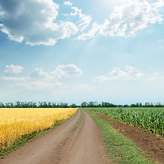 Image showing sunny sky with clouds over road in agriculture fields