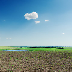 Image showing agriculture spring field and cloud in blue sky