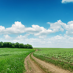 Image showing road in green fields and blue sky with clouds