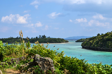 Image showing Tropical view