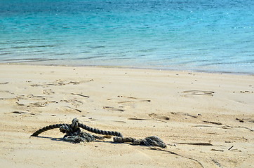 Image showing Cord at beach