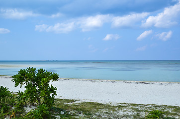 Image showing Tropical Beach View