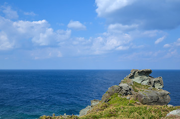 Image showing Coastal cliff