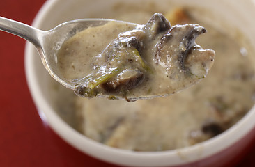 Image showing Homemade cream of mushroom soup