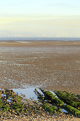 Image showing Swansea Bay tidal flats