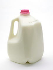 Image showing Milk