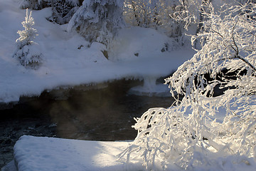 Image showing The winter river