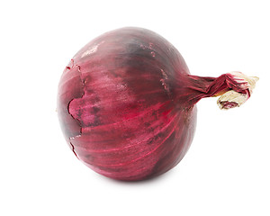 Image showing Onion