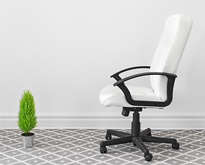 Image showing Computer chair and green plant