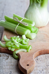 Image showing fresh organic celery and fennel