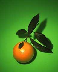 Image showing Orange On Green