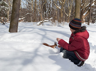 Image showing Squirrel and little boy