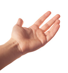 Image showing Human palm on white background