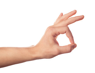 Image showing Gesturing human hand on white background