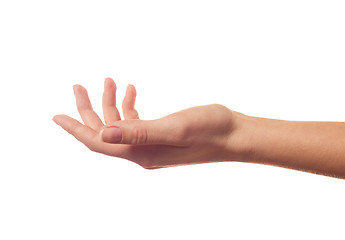 Image showing Asking human hand on white background