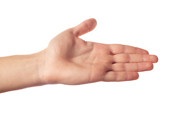 Image showing Outstretched hand isolated