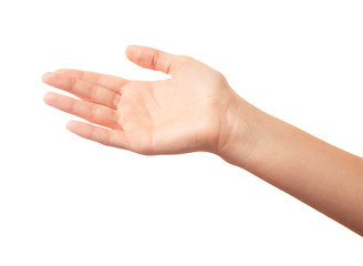 Image showing Human palm on white background