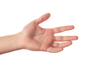 Image showing One human hand with five fingers