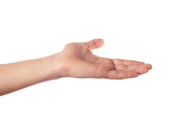 Image showing One human hand that wants something