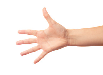 Image showing Human hand five fingers