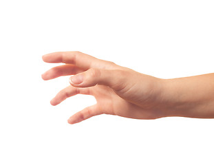 Image showing Taking something human hand on white background