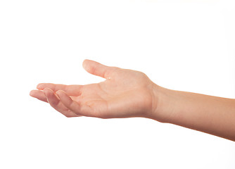 Image showing Asking human hand