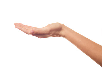 Image showing Asking hand isolated