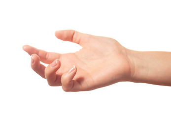 Image showing Keeping human hand