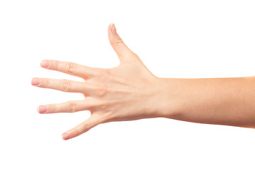 Image showing Five fingers on white background