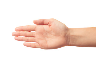 Image showing Human's palm isolated on white background