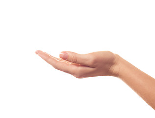 Image showing Asking human hand on white background