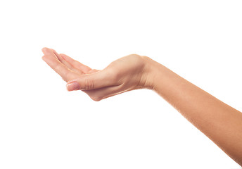 Image showing Asking human hand isolated