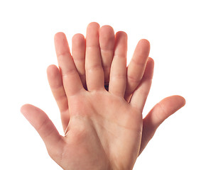 Image showing Two human palms