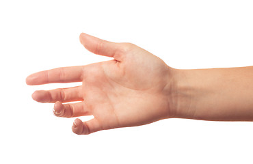 Image showing Outstretched human hand