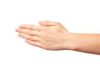 Image showing Human hand with five fingers