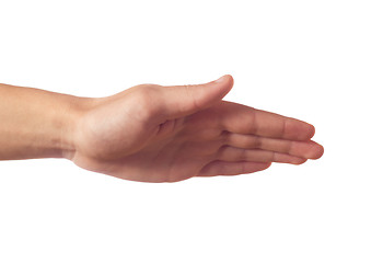 Image showing Human hand with palm down  isolated