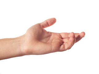 Image showing Outstretched hand