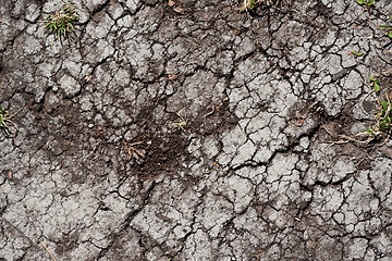 Image showing Dry land