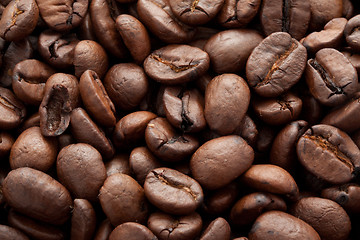 Image showing Coffee beans