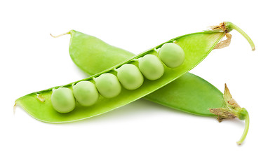 Image showing Pea