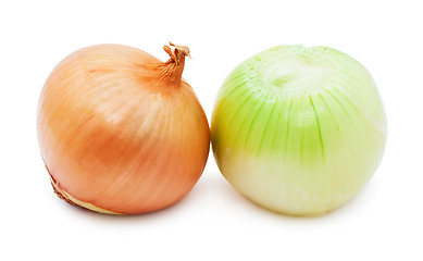 Image showing Onion