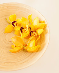 Image showing closeup of wooden bowl with orchid flowers