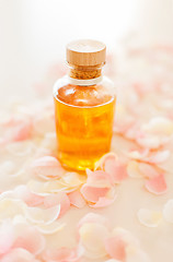 Image showing closeup of essential oil and rose petals