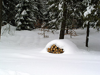 Image showing pile of woods